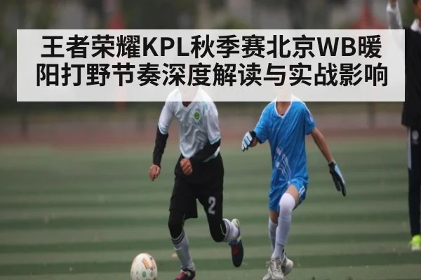王者荣耀KPL秋季赛北京WB暖阳打野节奏深度解读与实战影响